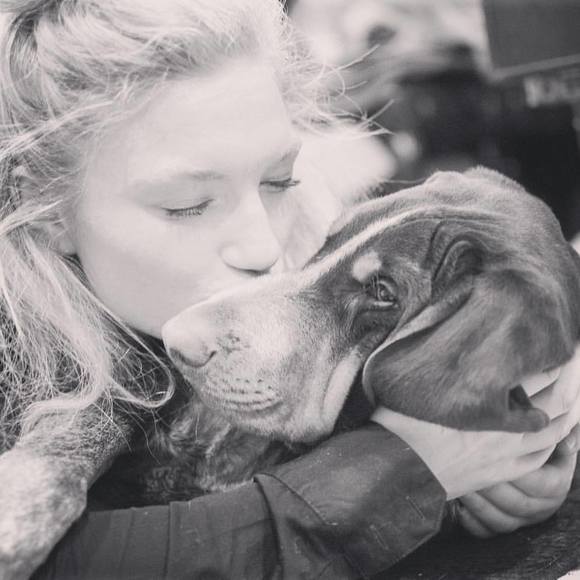 Meet your Posher, Cassidy - Picture 1 of 1